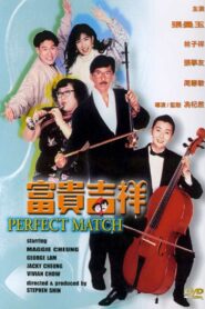 The Perfect Match 1991 one on netflix
