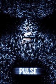 Pulse 2006 one on netflix