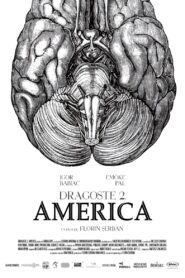 Love 2. America 2018 one on netflix