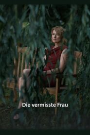 The Missing Woman 2016 one on netflix