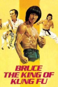 Bruce, King of Kung Fu 1980 one on netflix
