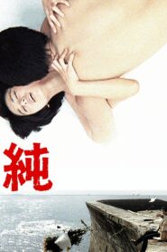 Jun 1980 one on netflix