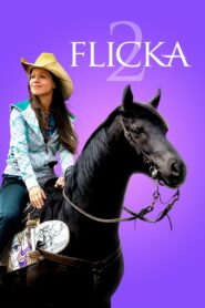 Flicka 2 2010 one on netflix