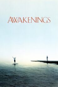 Awakenings 1990 one on netflix