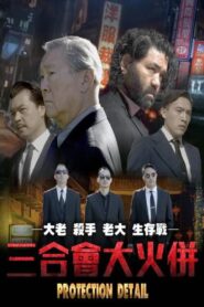 Protection Detail 2022 one on netflix