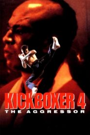 Kickboxer 4: The Aggressor 1994 one on netflix