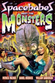 The Low Budget Time Machine 2003 one on netflix