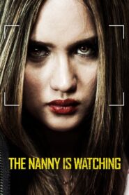 Nanny Surveillance 2018 one on netflix