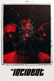 Asylum Blackout 2012 one on netflix