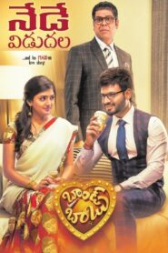 Brand Babu 2018 one on netflix