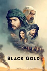 Black Gold 2011 one on netflix