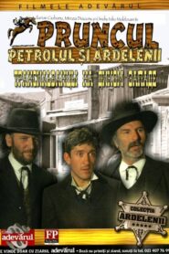 The Oil, the Baby and the Transylvanians 1981 one on netflix
