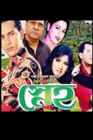 Sneho 1994 one on netflix