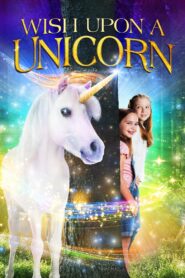 Wish Upon a Unicorn 2020 one on netflix