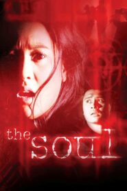 The Soul 2003 one on netflix