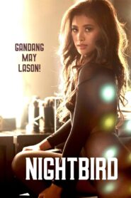 Nightbird 2023 one on netflix