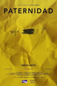 Paternity 2020 one on netflix