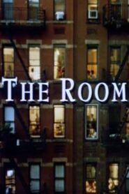 The Room 1992 one on netflix