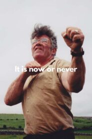 It’s Now or Never 1996 one on netflix