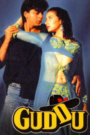 Guddu 1995 one on netflix