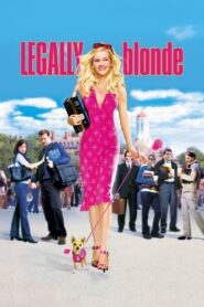 Legally Blonde 2001 one on netflix