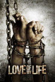 Love of My Life 2013 one on netflix