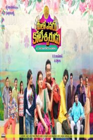 Meelo Evaru Koteeswarudu 2016 one on netflix