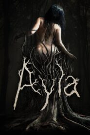 Ayla 2017 one on netflix
