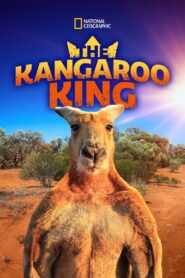 The Kangaroo King 2015 one on netflix