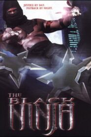 The Black Ninja 2003 one on netflix
