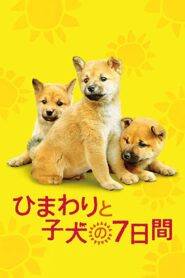 7 Days of Himawari & Her Puppies 2013 one on netflix