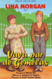 Vaya par de gemelas 1983 one on netflix