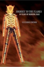Journey to the Flames: 10 Years of Burning Man 2001 one on netflix
