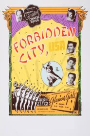 Forbidden City, U.S.A. 1989 one on netflix