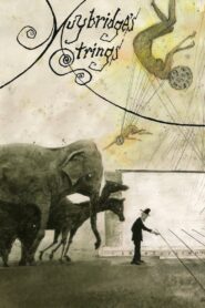 Muybridge’s Strings 2011 one on netflix