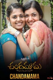 Chandamama 2007 one on netflix