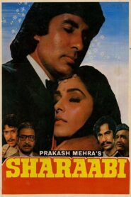 Sharaabi 1984 one on netflix