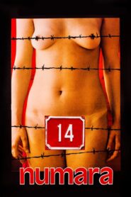 Number 14 1985 one on netflix