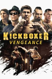 Kickboxer: Vengeance 2016 one on netflix