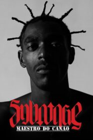 Sabotage: Maestro do Canão 2015 one on netflix