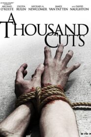 A Thousand Cuts 2012 one on netflix