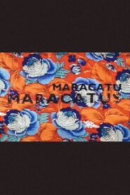 Maracatu, Maracatus 1995 one on netflix