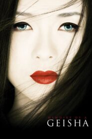 Memoirs of a Geisha 2005 one on netflix