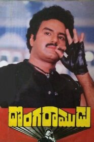 Donga Ramudu 1988 one on netflix