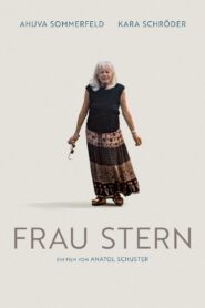 Ms Stern 2019 one on netflix