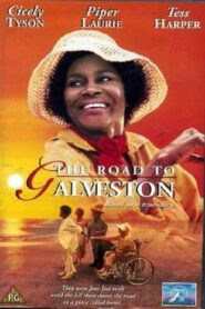The Road to Galveston 1996 one on netflix