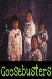 Goosebuster 1991 one on netflix