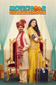 Motichoor Chaknachoor 2019 one on netflix
