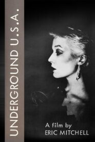 Underground U.S.A. 1980 one on netflix