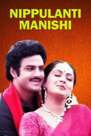 Nippulanti Manishi 1986 one on netflix